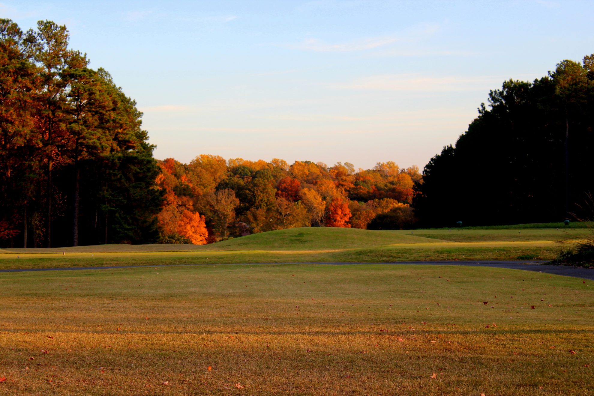 view of golf course green at fall